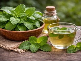 Lemon Balm Benefits: रात्री झोप येत नाही? पोट स्वच्छ होत नाही? औषधं सोडा, लेमन बाममुळे दूर होतील सर्व समस्या
