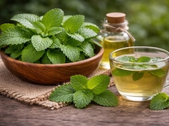 Benefits Of Lemon Balm: तनाव कम करने से लेकर पाचन तक कई फायदे देता है नींबू जैसी खुशबू वाला ये हर्ब, जानें इस्तेमाल करने का सही तरीका