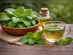 Benefits Of Lemon Balm: तनाव कम करने से लेकर पाचन तक कई फायदे देता है नींबू जैसी खुशबू वाला ये हर्ब, जानें इस्तेमाल करने का सही तरीका