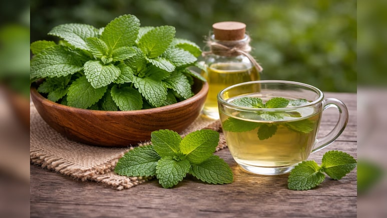 Benefits Of Lemon Balm: तनाव कम करने से लेकर पाचन तक कई फायदे देता है नींबू जैसी खुशबू वाला ये हर्ब, जानें इस्तेमाल करने का सही तरीका