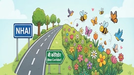 NHAI का Bee कॉरिडोर; छत्तीसगढ़ में इन हाइवे के किनारे बनेगा मधुमक्खियों का गलियारा