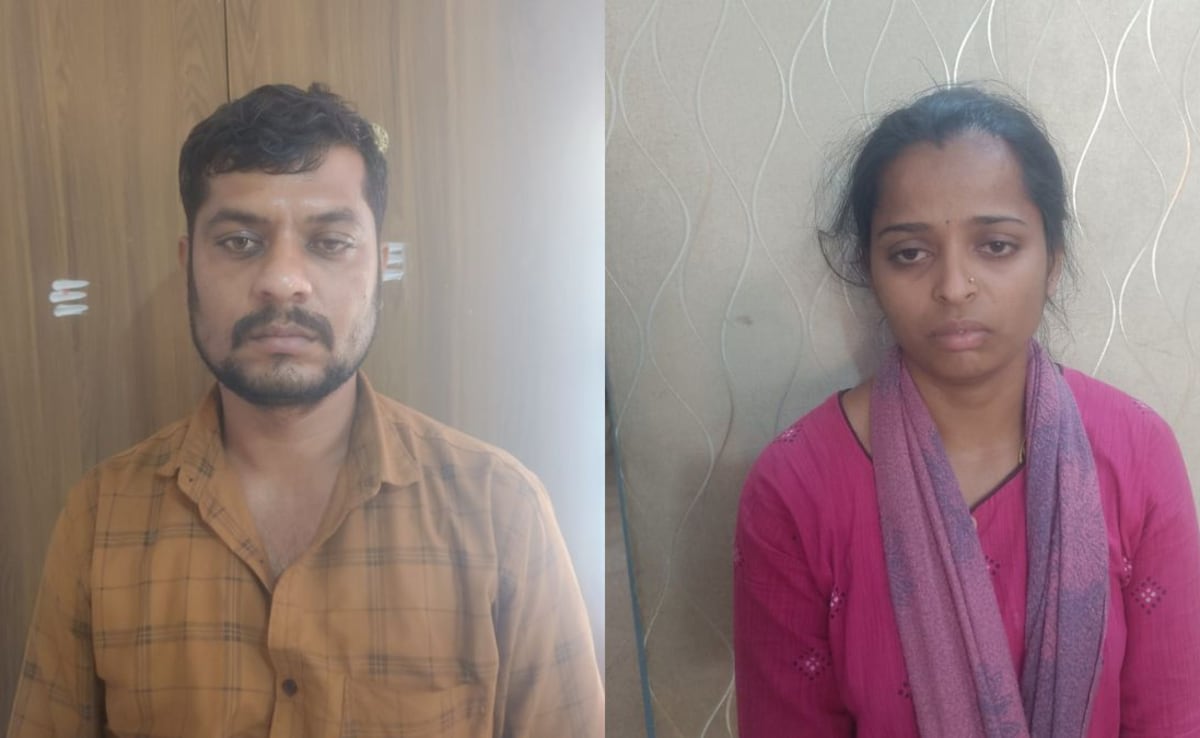 The Art of Baking: From Classic Bread to Artisan Pastries