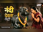 Nandi Ki Puja: महादेव को मनाने के लिए नंदी की क्यों करनी चाहिए पूजा, जानें विधि और महत्व