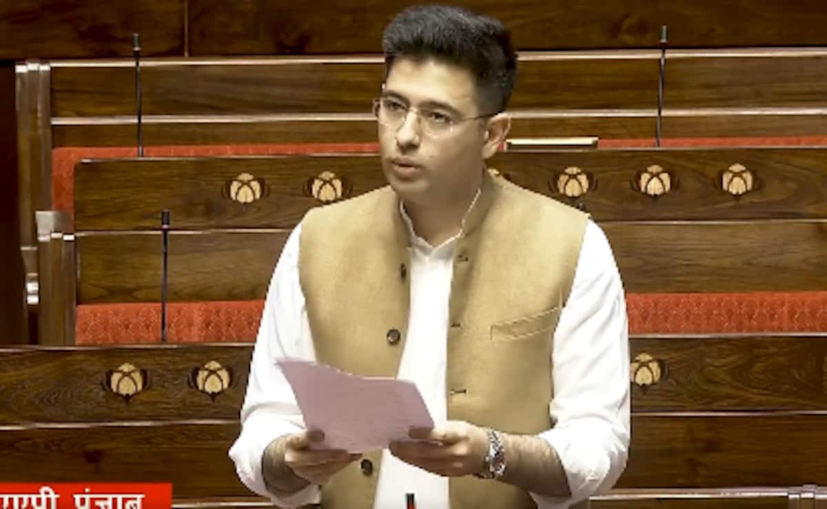 "Mobiles Not Luxury": Raghav Chadha Questions 28-Day "Monthly" Recharges