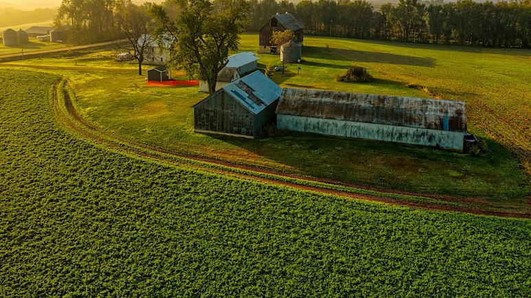 US Family Rejects $26 Million Offer To Sell Farmland For AI Data Centre: 'We're Not Stupid'