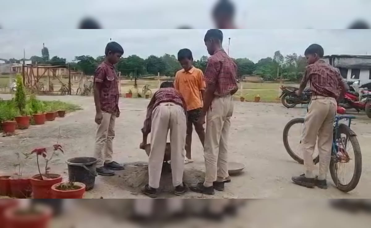 The Art of Baking: From Classic Bread to Artisan Pastries