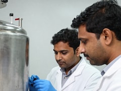 Precision-Fermented Fats: What Are These And How They Benefit Health