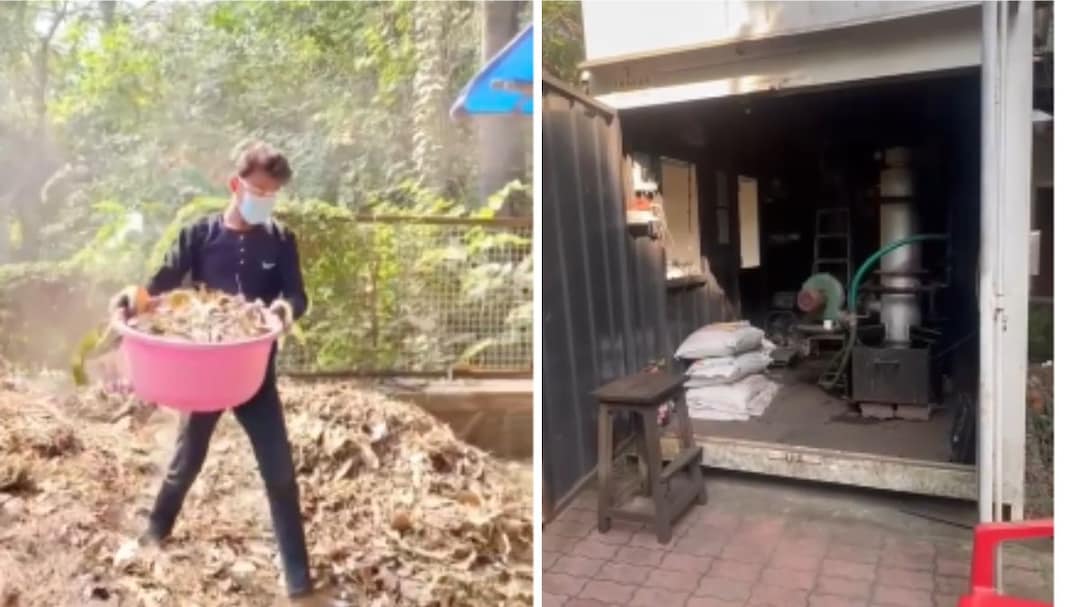 Turning Fallen Leaves Into Fuel: IIT Bombay's Answer To LPG Woes