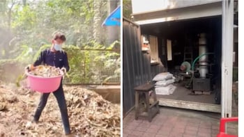 Turning Fallen Leaves Into Fuel: IIT Bombay's Answer To LPG Woes