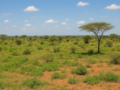 5 Desert Regions That Surprisingly Look Green