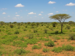 5 Desert Regions That Surprisingly Look Green