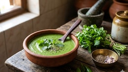 Can Consuming Dhania-Pudina Chutney Fix Your Gut In Summer? Science Says Yes