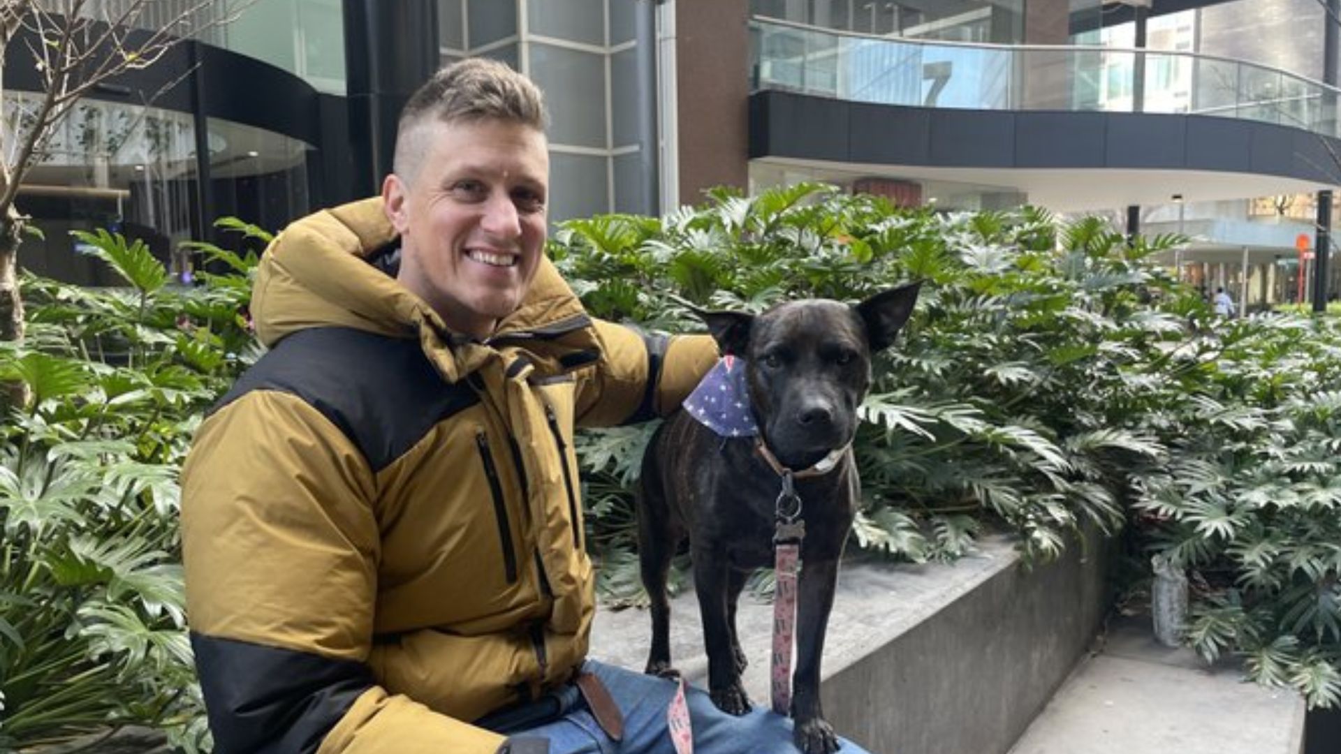 मालिक ने AI से अपने कुत्ते के लिए  बना ली वैक्सीन, लास्ट स्टेज का कैंसर भी ठीक होने लगा