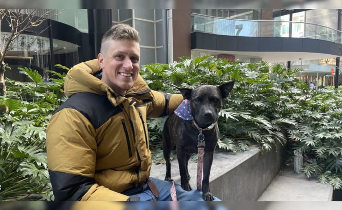 मालिक ने AI से अपने कुत्ते के लिए  बना ली वैक्सीन, लास्ट स्टेज का कैंसर भी ठीक होने लगा