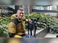 मालिक ने AI से अपने कुत्ते के लिए  बना ली वैक्सीन, लास्ट स्टेज का कैंसर भी ठीक होने लगा