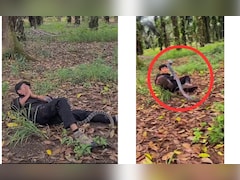 'यमराज' को छूकर 'टच मी टच मी' खेल रहा था लड़का! सांप ने जब छाती पर चढ़कर फैलाया फन, तो जोड़ने लगा हाथ-पैर