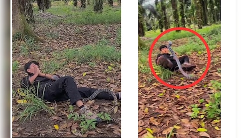 'यमराज' को छूकर 'टच मी टच मी' खेल रहा था लड़का! सांप ने जब छाती पर चढ़कर फैलाया फन, तो जोड़ने लगा हाथ-पैर