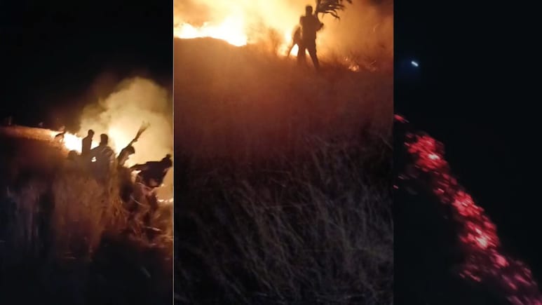 Dhar News: किसान के गेहूं के खेत में लगी आग, 4-5 बीघा फसल जली, मौके पर नहीं पहुंची दमकल गाड़ियां