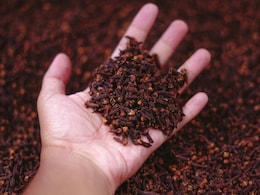 रात में मुंह में लौंग रखकर सोएं, सुबह दिखेंगे ये हैरान करने वाले फायदे