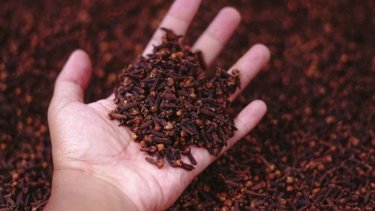 रात में मुंह में लौंग रखकर सोएं, सुबह दिखेंगे ये हैरान करने वाले फायदे