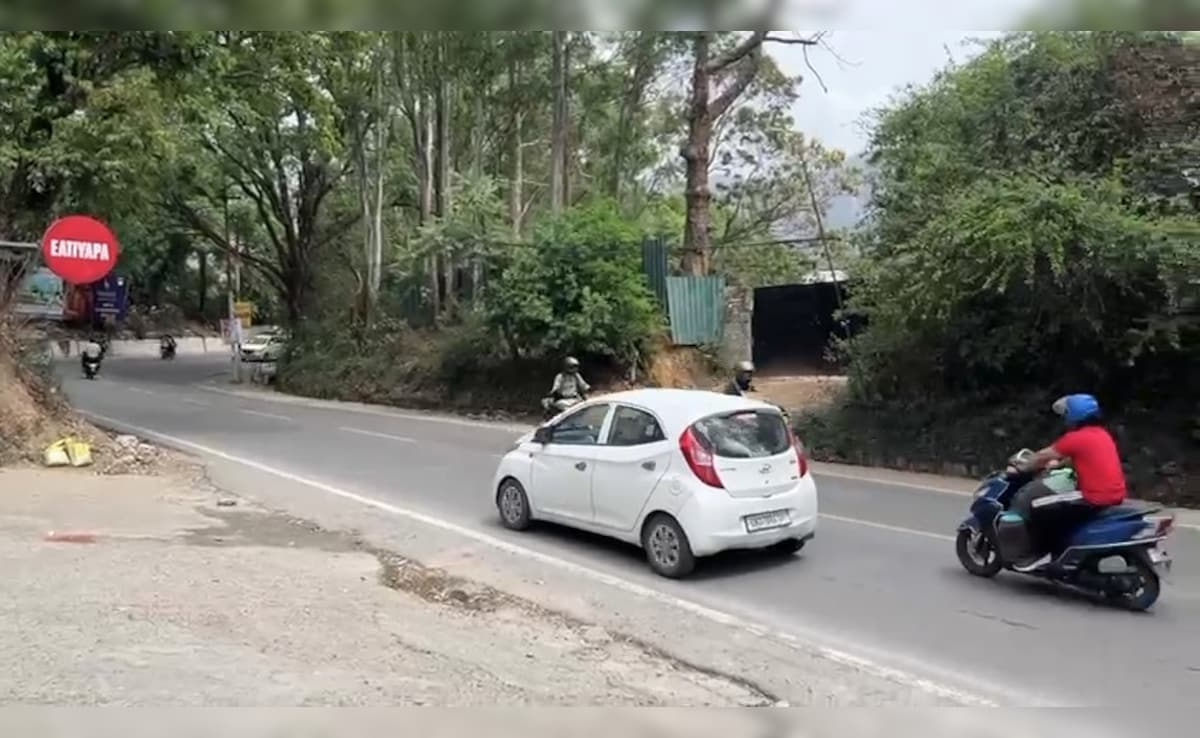 The Art of Baking: From Classic Bread to Artisan Pastries