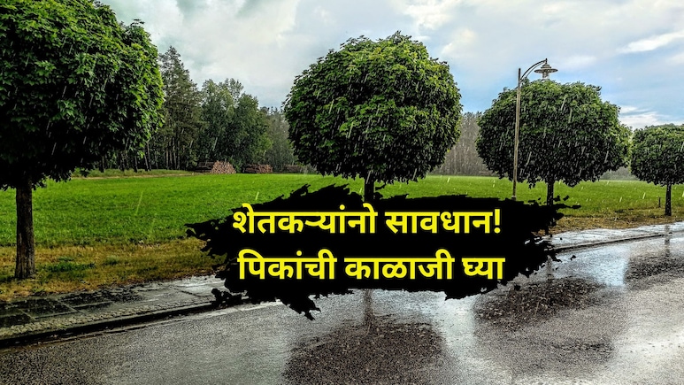 Weather Update: सावधान! शेतकऱ्यांसाठी पुढील 4 दिवस धोक्याचे, पिकांना जपा, अलर्ट रहा, काय आहे संकट?