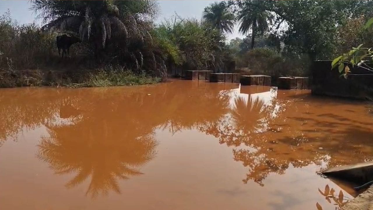 Latest and Breaking News on NDTV Latest and Breaking News on NDTV