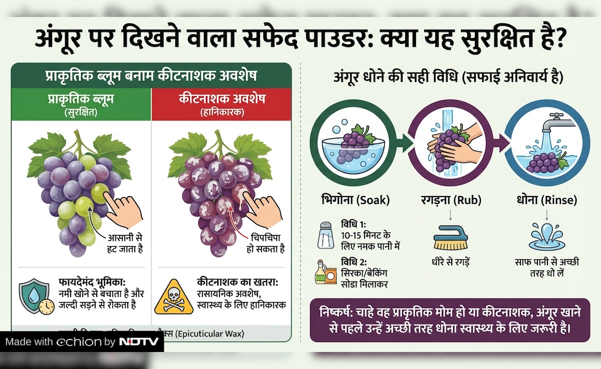 Latest and Breaking News on NDTV