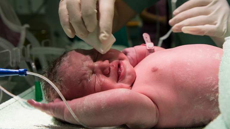 Beyond Birth: Doctor Explains How The Placenta Can Still Be Medically Valuable After Delivery