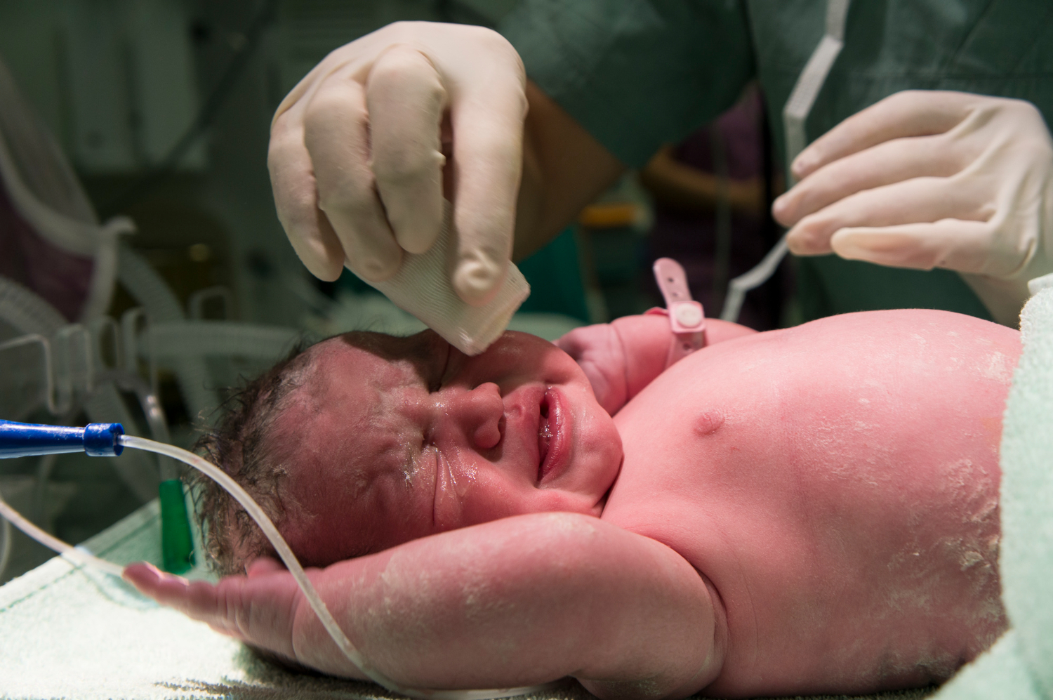 Beyond Birth: Doctor Explains How The Placenta Can Still Be Medically Valuable After Delivery