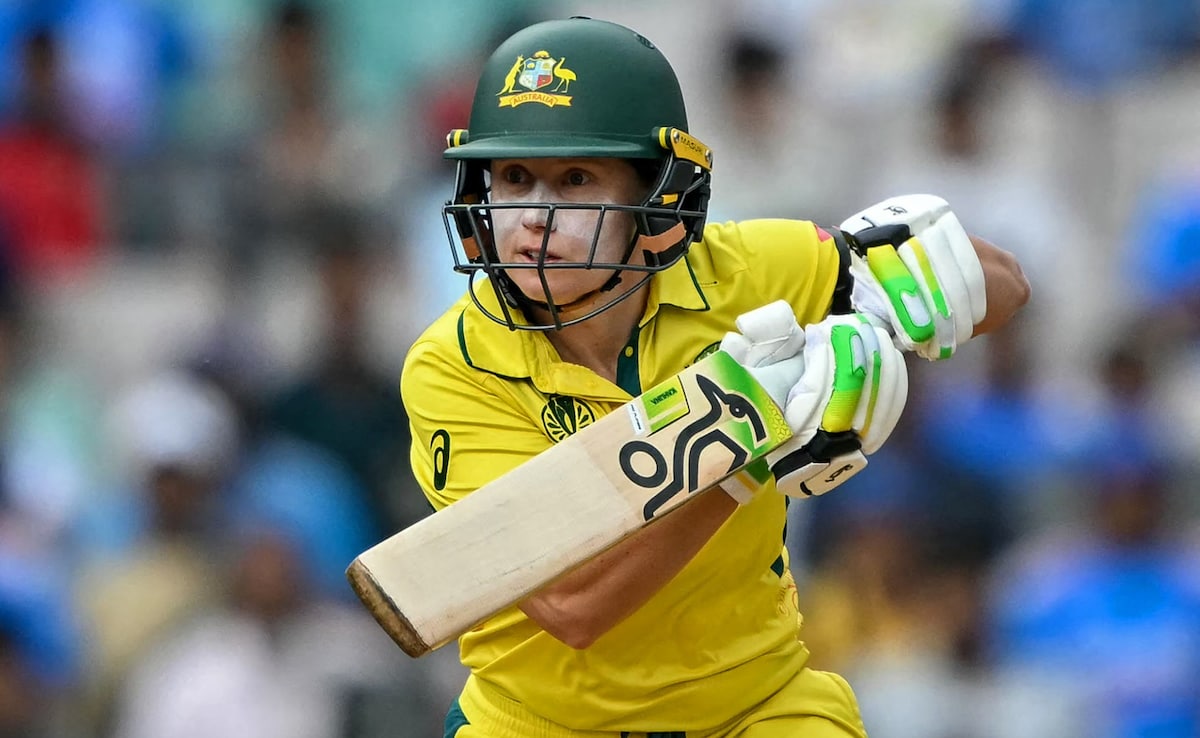 Alyssa Healy Quits ODIs On A High As Australia Complete Clean Sweep Against India