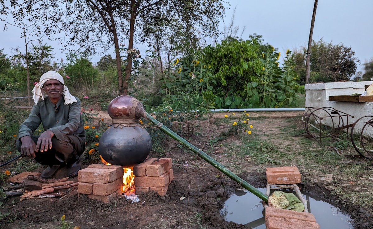 Latest and Breaking News on NDTV Latest and Breaking News on NDTV