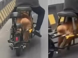बाइक चलाने के लिए कुत्ते को बनाया इंजन! चीन का Video देख सोशल मीडिया पर भड़के लोग