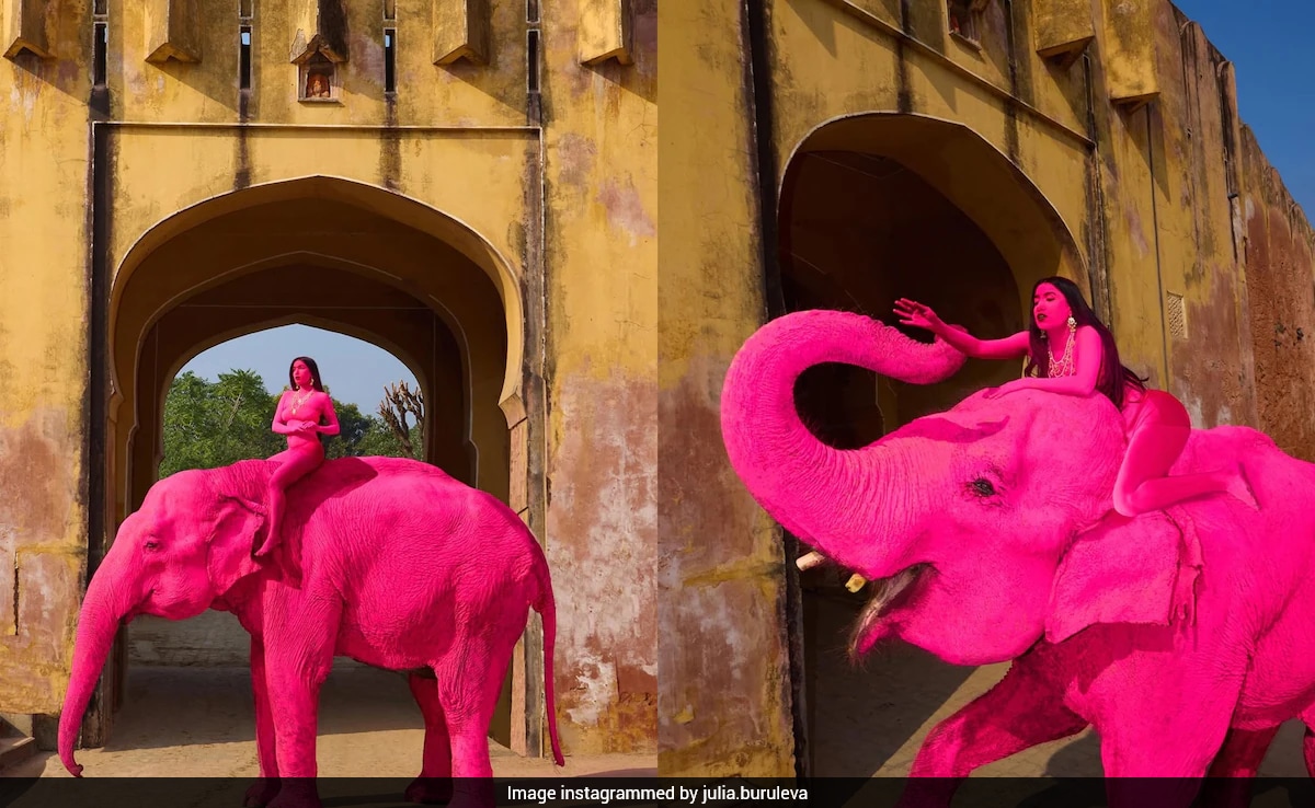 Jaipur's Pink Elephant Died Of Cardiac Failure, Postmortem Confirms, Animal Lovers Seek Ban On Elephant Safari