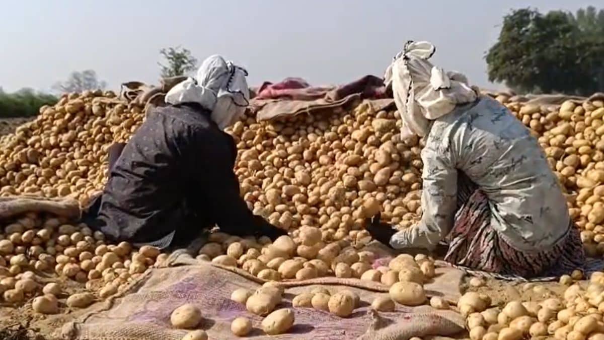 Latest and Breaking News on NDTV