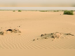 Rajasthan Weather: राजस्थान में होली के बाद और चढ़ेगा गर्मी का ग्राफ, 13 जिलों में पारा 35&deg;C के पार, जानें आपके शहर का हाल