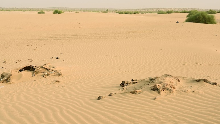 Rajasthan Weather: राजस्थान में होली के बाद और चढ़ेगा गर्मी का ग्राफ, 13 जिलों में पारा 35&deg;C के पार, जानें आपके शहर का हाल