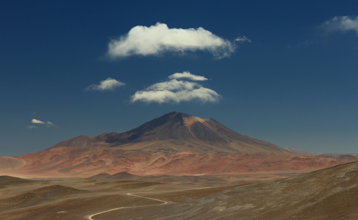 Latest and Breaking News on NDTV