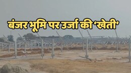 Success Story: किसान की सोच ने बदल दी तकदीर, बंजर जमीन भी उगलने लगी 'सोना'