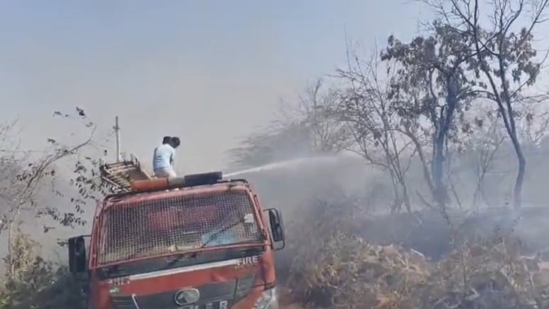 डूंगरपुर: जंगल में भीषण आग से मचा हड़कंप, RO प्लांट जलकर राख; 5 घंटे की मशक्कत से दमकल ने बचाए घर