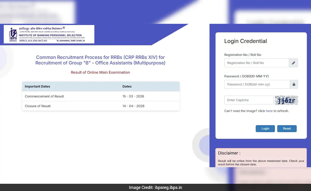 IBPS RRB Clerk मेन्स परीक्षा का रिजल्ट जारी, इस लिंक पर जाकर करें चेंक