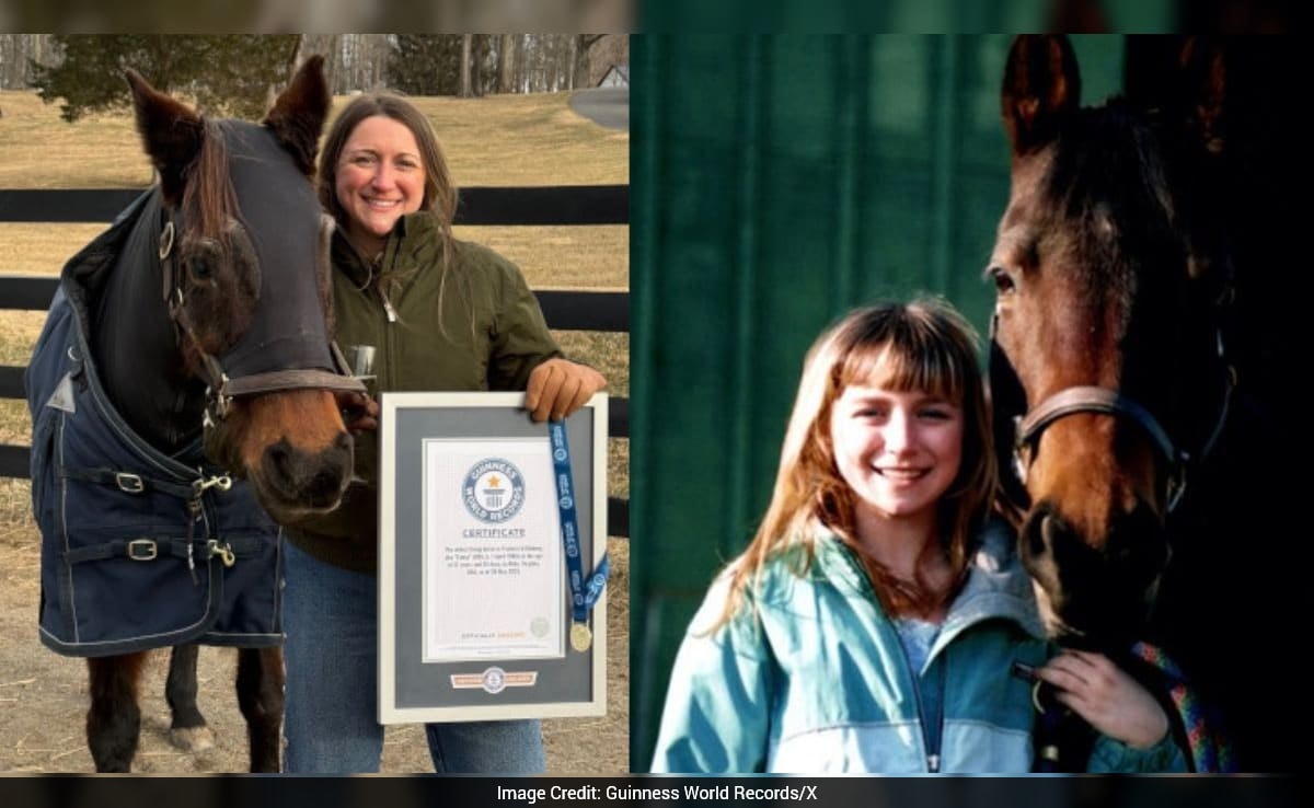 37-Year-Old Mare From US Breaks Record For World's Oldest Living Horse