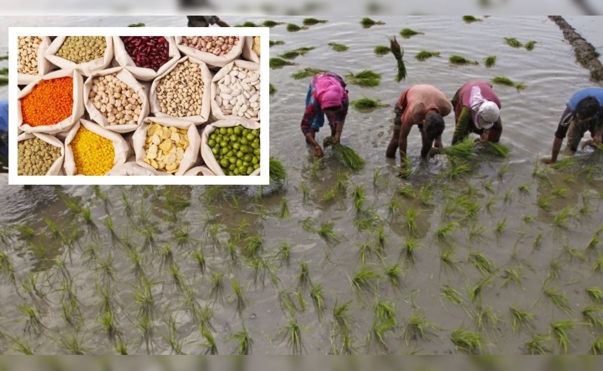 सुप्रीम कोर्ट की ये सलाह मानी तो देश के किसानों की बदल सकती है किस्मत, दिख रही नई संभावनाएं