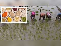 सुप्रीम कोर्ट की ये सलाह मानी तो देश के किसानों की बदल सकती है किस्मत, दिख रही नई संभावनाएं
