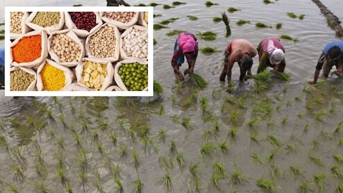 सुप्रीम कोर्ट की ये सलाह मानी तो देश के किसानों की बदल सकती है किस्मत, दिख रही नई संभावनाएं