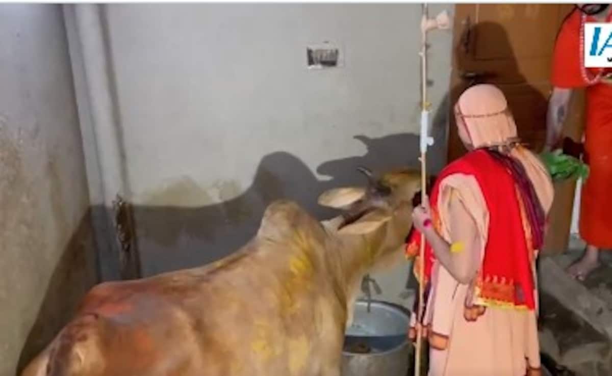 Latest and Breaking News on NDTV