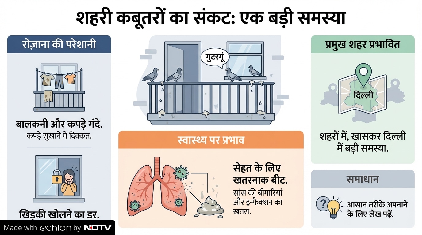 Latest and Breaking News on NDTV