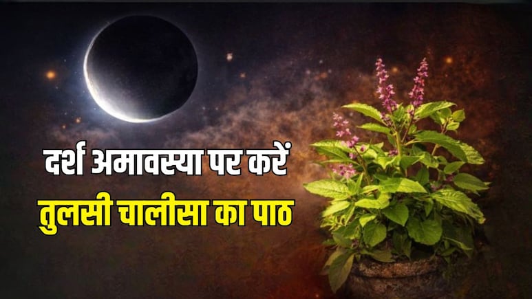 Darsh Amavasya 2026: दर्श अमावस्या पर करें इस चालीसा का पाठ, दूर होंगी जीवन में आ रही बाधाएं, मिल सकते हैं शुभ परिणाम