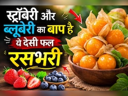 स्ट्रॉबेरी और ब्लूबेरी का बाप है ये देसी फल, फायदे जानकर आज से ही खाने लगेंगे आप