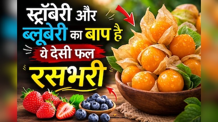 स्ट्रॉबेरी और ब्लूबेरी का बाप है ये देसी फल, फायदे जानकर आज से ही खाने लगेंगे आप